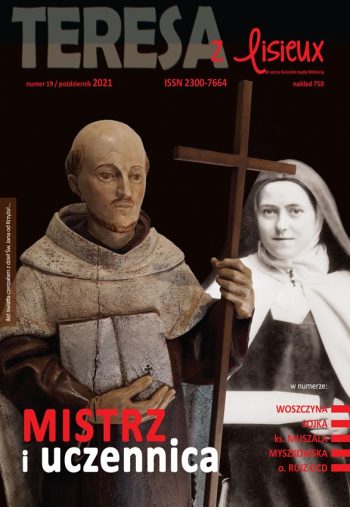 TZL  MISTRZ okladka print